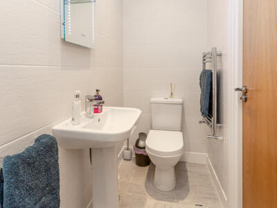 Picture 21